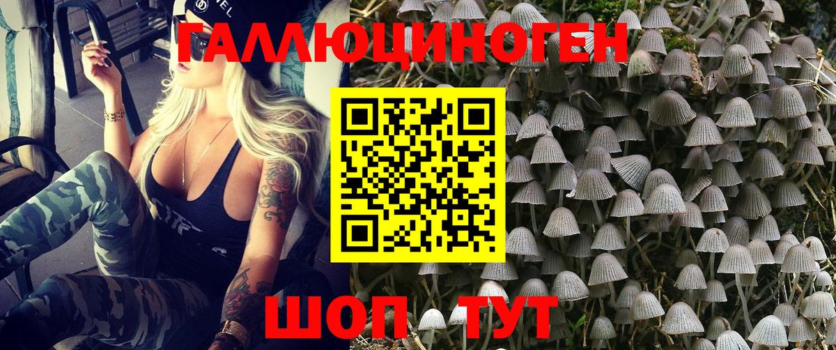 Мичуринск  Псилоцибиновые грибы ЛСД  Вход с VPN 