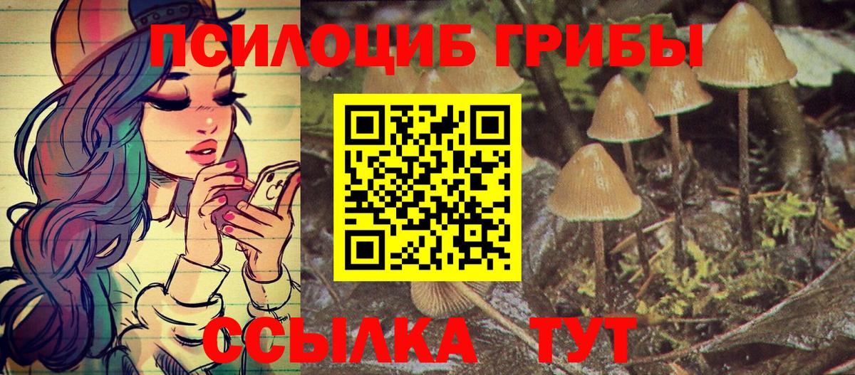 Псилоцибиновые грибы MAGIC MUSHROOMS Мичуринск